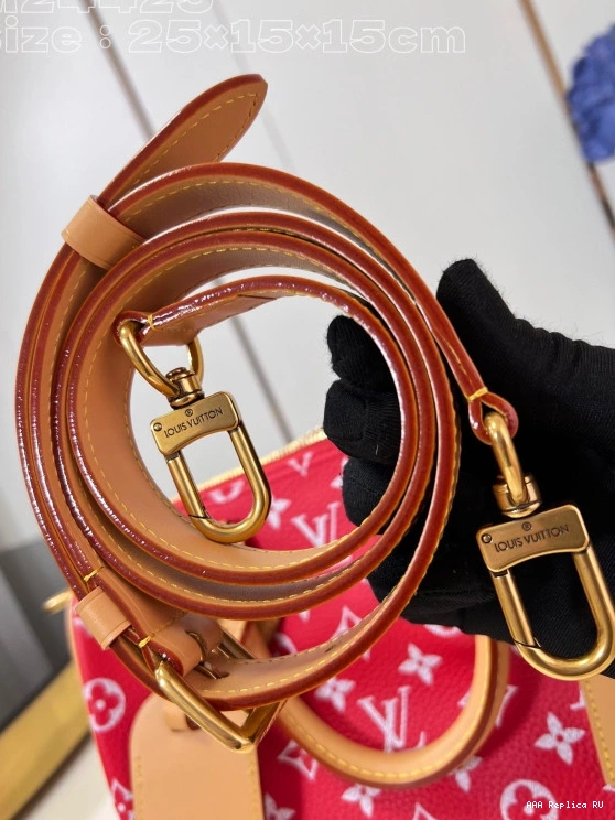 Aaa replica bags SPEEDY Vuitton Louis 25 0729